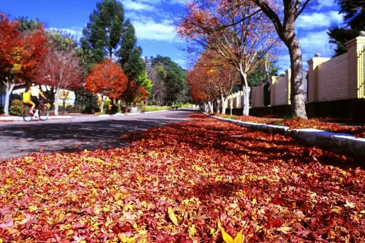 Destinos nacionais para curtir no outono